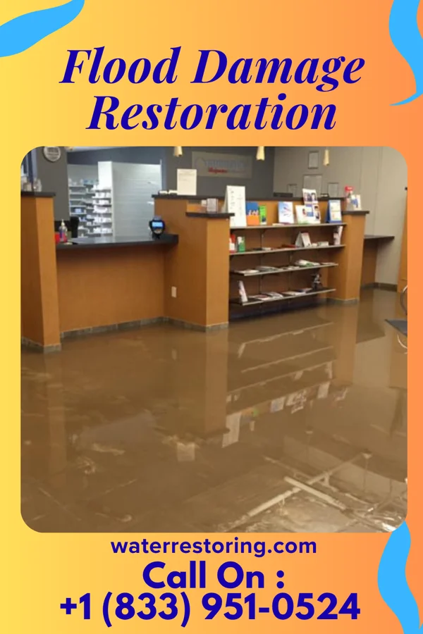 Flood Damage Restoration in North Sarasota, FL